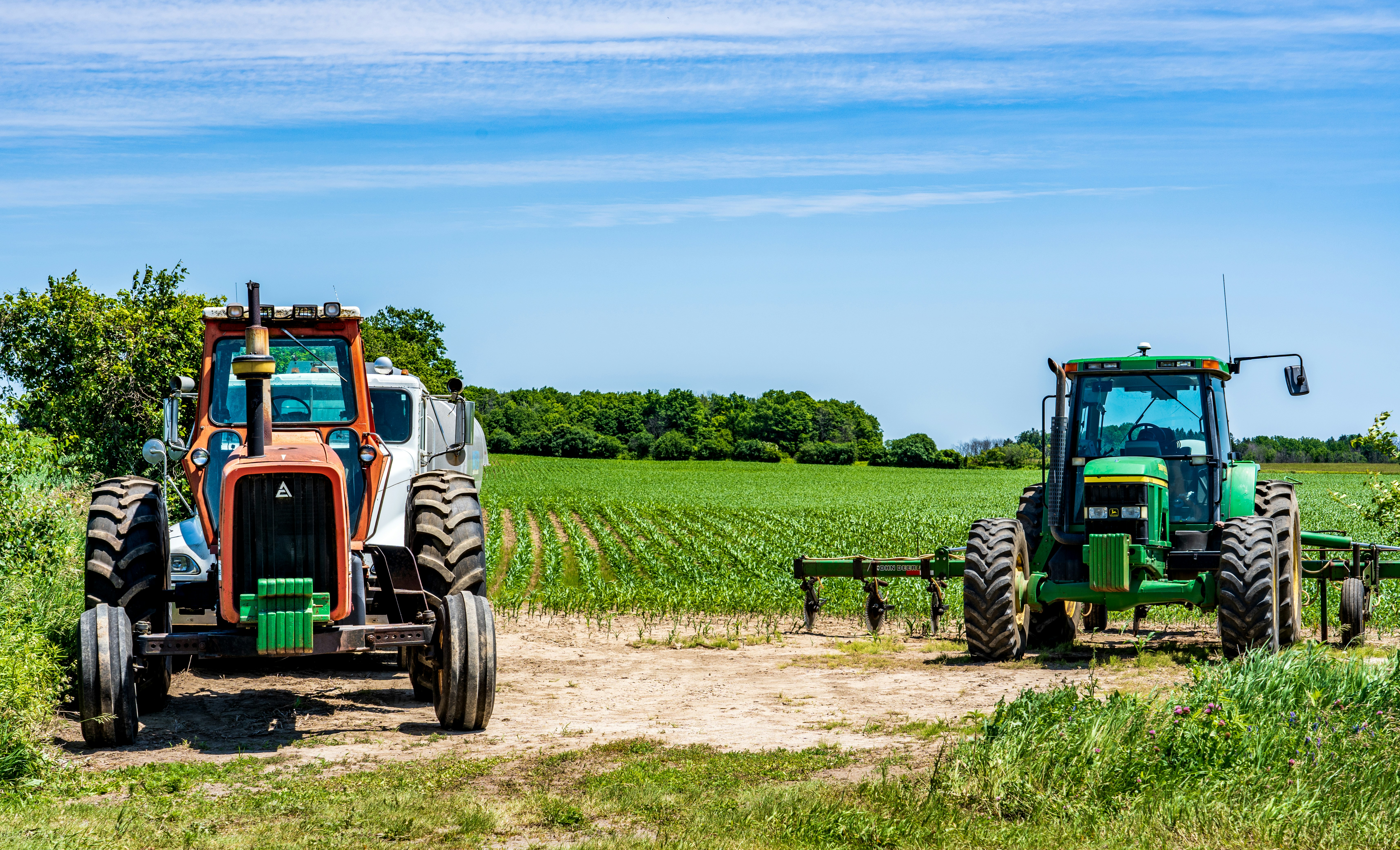 Agriculture & Agro-processing